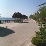 Cemre تورغوتْريس