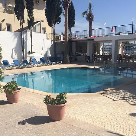 Cemre טורגוטריס