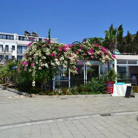 Cemre Turgutreis