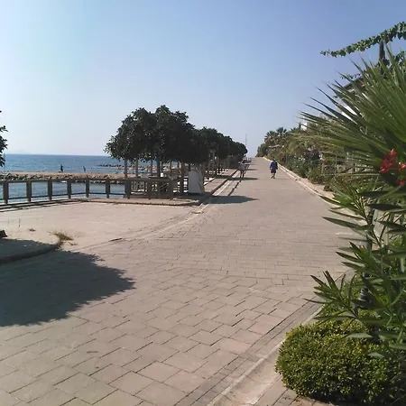 Cemre טורגוטריס