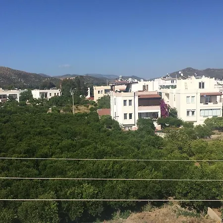 Cemre Turgutreis